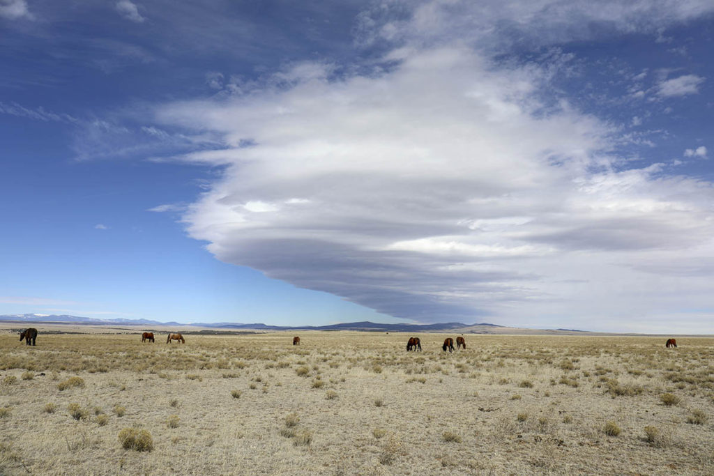 Blue sky and white clouds over a sparse landscape with eight horses in a field.