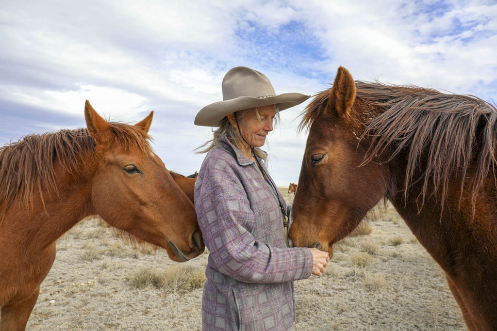 Rancher Gives Horses a ‘One-Eighty’