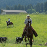 Montana’s Shrinking Open Space