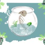 Even the Wet Northwest Is Struggling to Manage Its Water