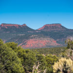 How Bears Ears Activists Advanced Navajo Voting Rights in Utah